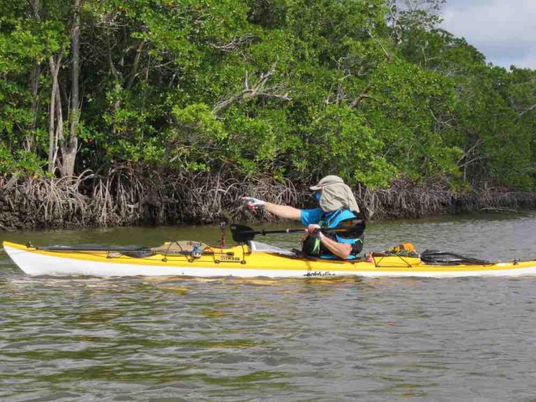 Haw River Canoe & Kayak Jumpstart Your Paddling Skills with Our