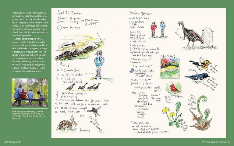 Haw River Canoe & Kayak A Beginner’s Guide to Nature Journaling | Haw ...